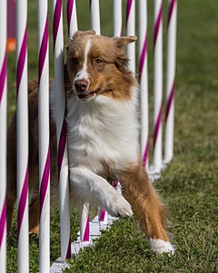 20230916-PVKC-1275.jpg