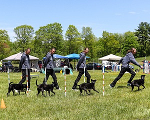 20170521-NEATMC-0011.jpg