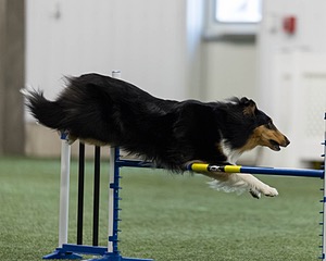 Naomi Lincoln
