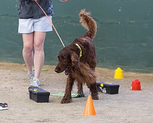 20260718-NSKC-0709.jpg