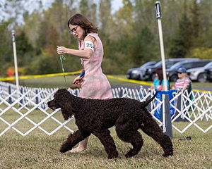 25 - Crispin's Don't Go Breaking My Heart KN (Elton)