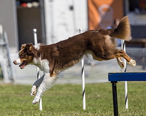 20230917-PVKC-2292.jpg
