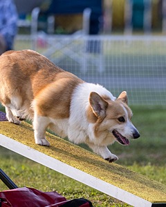 20220918-PVKC-3343.jpg