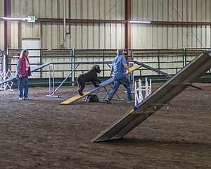 20190513-AG-0101.jpg