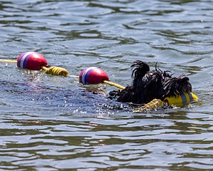 Kayla Ratner