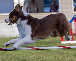 20230916-PVKC-1689.jpg