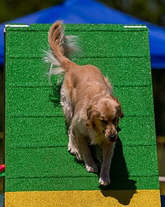 Ollie Erbe