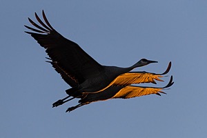 20151205-0850.jpg