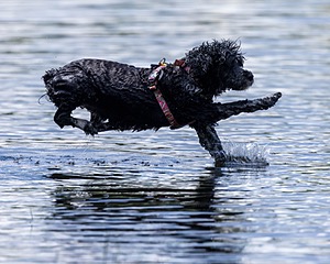 Kayla Ratner
