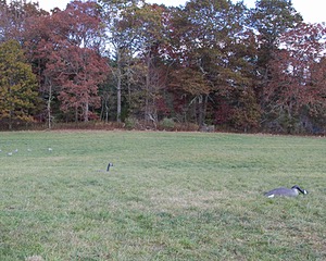 20131027-C-0010.jpg