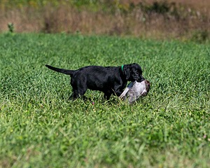20150912-C-0023.jpg