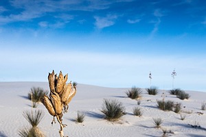 20151207-0089.jpg