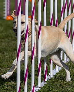 20230916-PVKC-1395.jpg