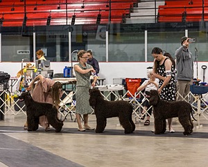 20250802-0243.jpg