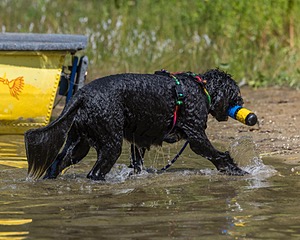 Oceano Robinson