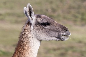 20191205-0218.jpg