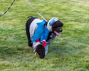 20210827-CC-0021.jpg