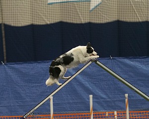 20150321-LEAP-0555.jpg