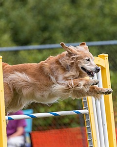 20200819-1381.jpg