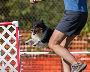20200819-2617.jpg