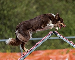 20200819-2404.jpg