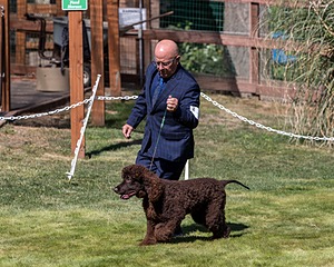 20210828-SW-0010.jpg