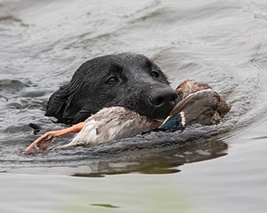 20080531-HRW-1066.jpg