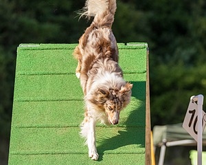 20160618-CCKC-2445.jpg