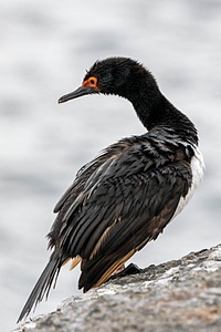 20191214-0124.jpg