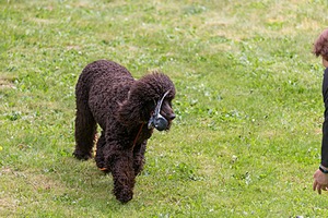 20190512-BD-0080.jpg