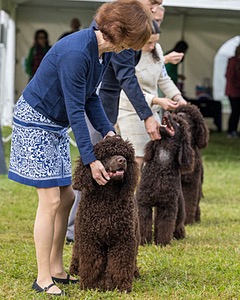 20260926-WC-0069.jpg