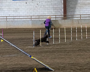 20190513-AG-0049.jpg