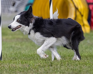 20230917-PVKC-2743.jpg