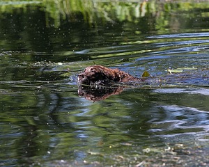 20130810-JHW-0007.jpg