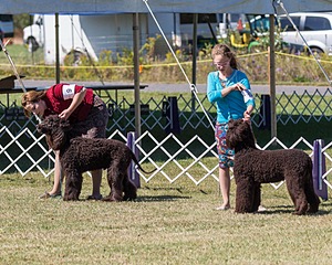 20190927-0357.jpg