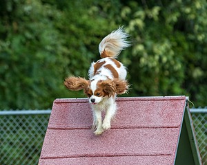 20200819-0095.jpg