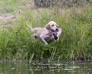 20130713-MHB2-0244.jpg