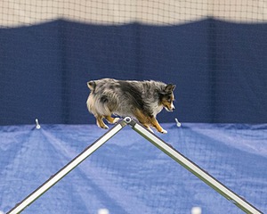 20150321-LEAP-1590.jpg