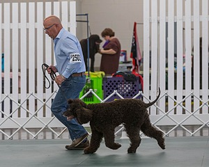20190514-RA-0261.jpg