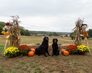 20161008-P-0016.jpg