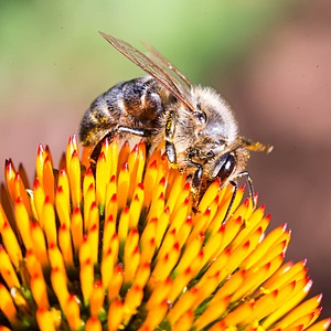 20160716-0112.jpg