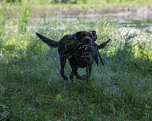 20220605-FINW-0011.jpg