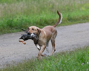 20130713-MHB2-0335.jpg