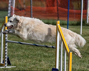 20200819-0741.jpg