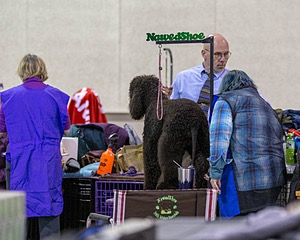 20190111-ASC-0009.jpg