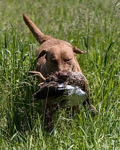 20210606-SEAL-1726.jpg