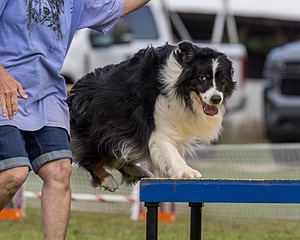 20230917-PVKC-2784.jpg