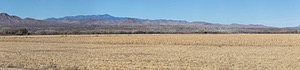 20151206-2492-Pano.jpg