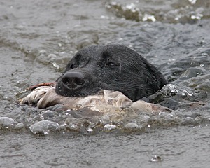 20080531-HRW-1177.jpg
