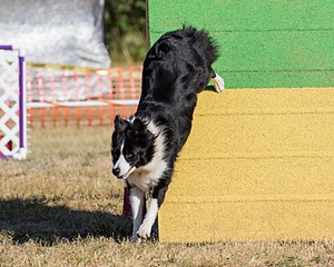 20160619-CCKC-0111.jpg